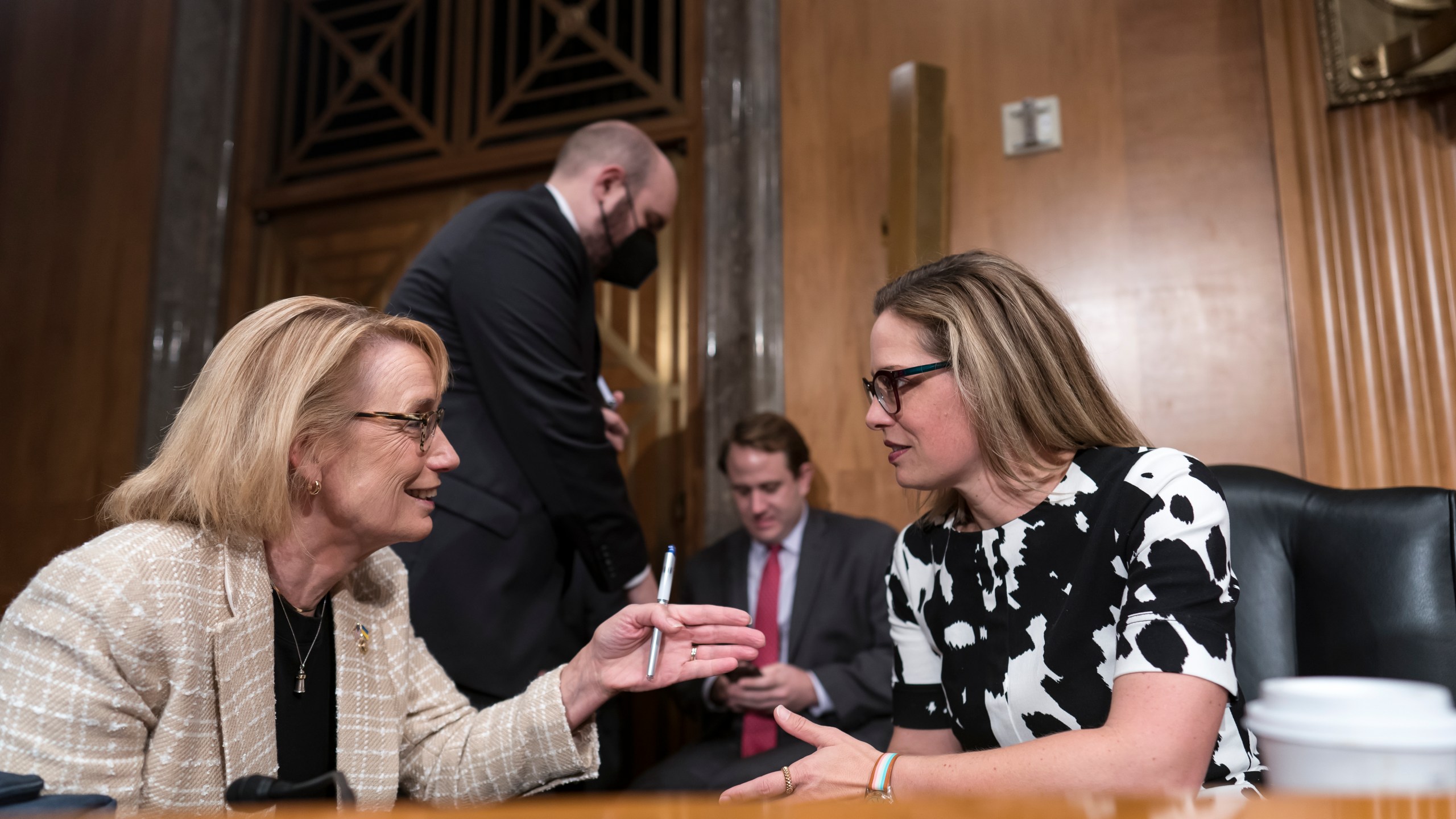 Kyrsten Sinema, Maggie Hassan