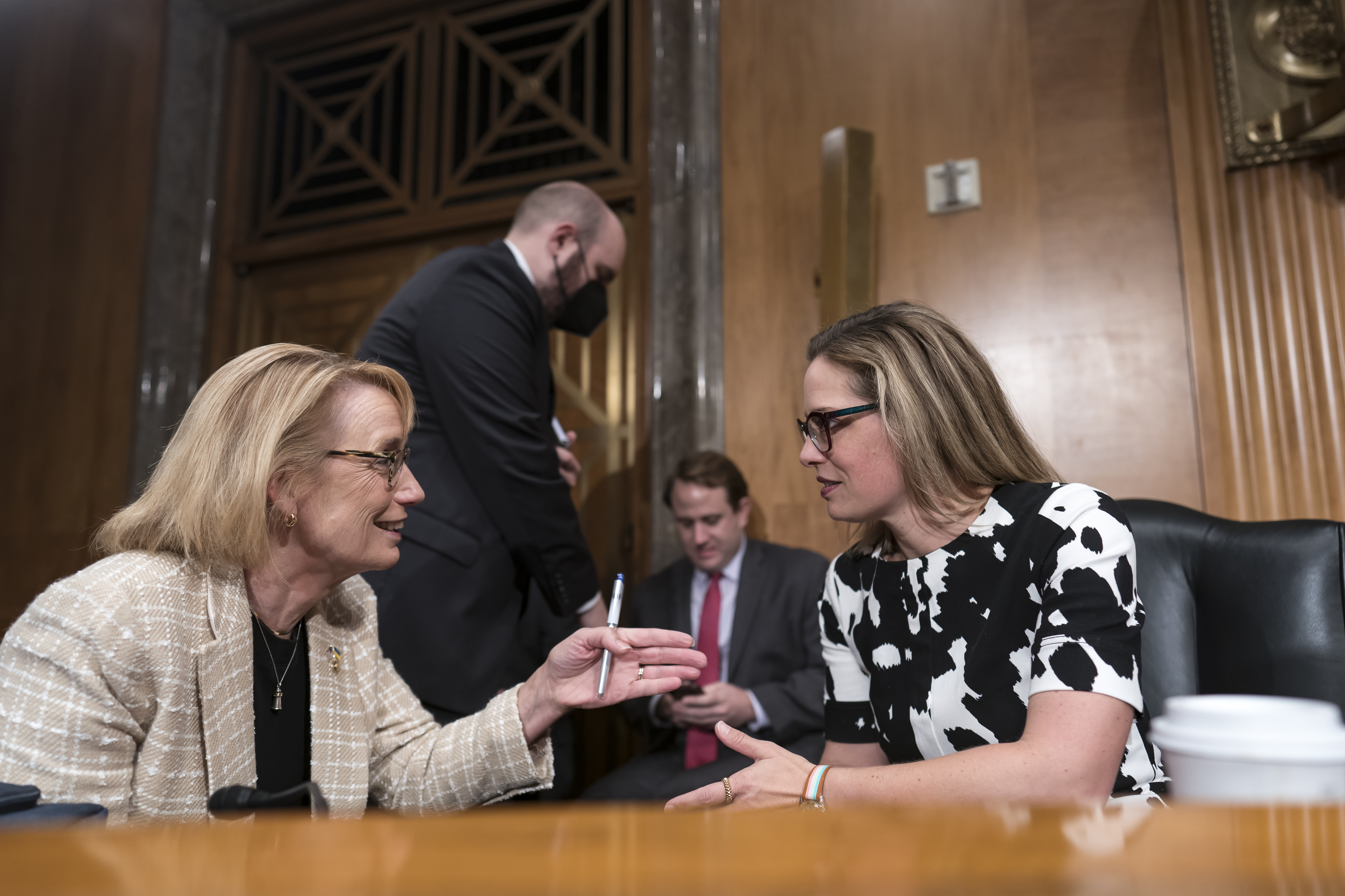 Kyrsten Sinema, Maggie Hassan