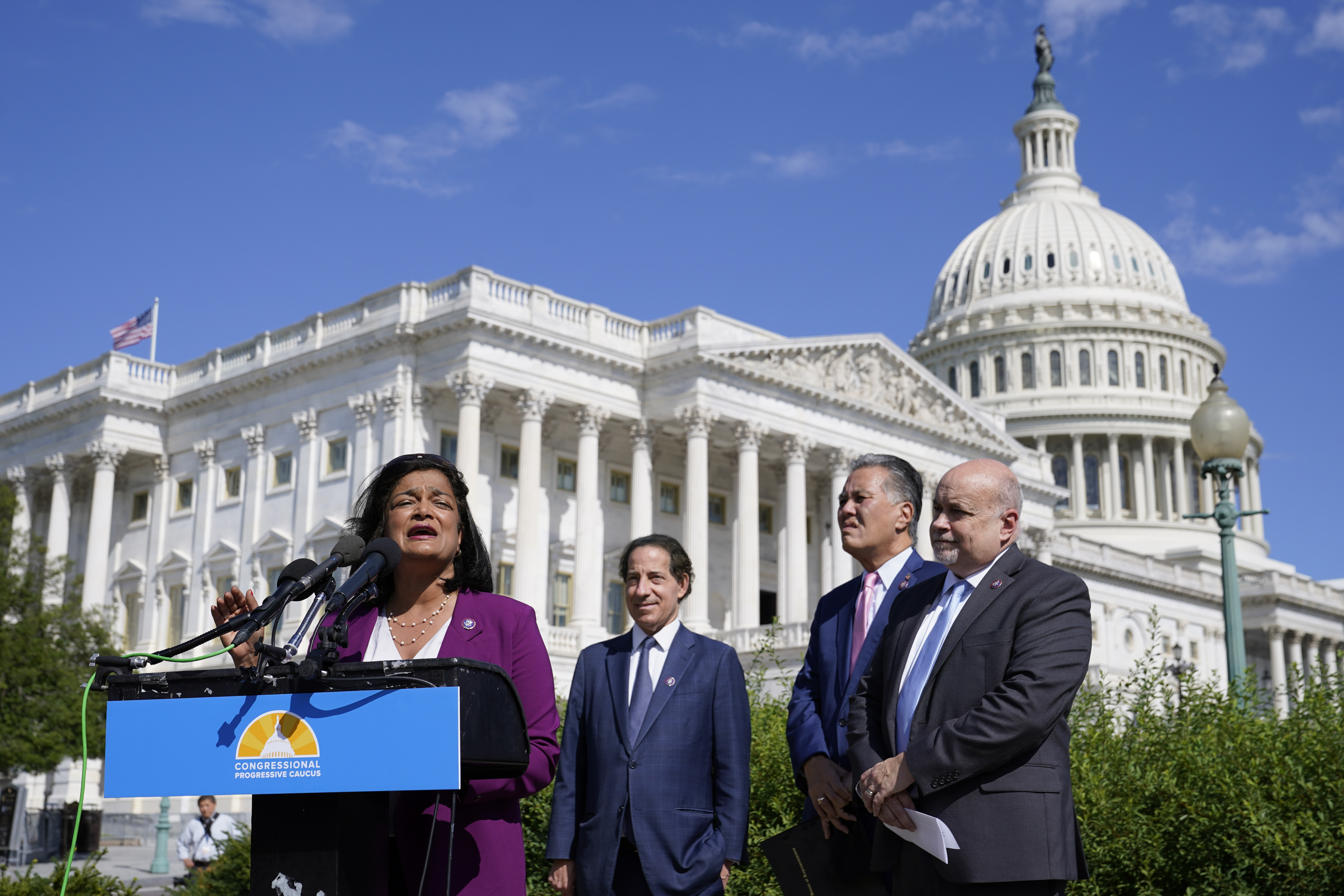 Pramila Jayapal, Jamie Raskin, Mark Takano, Mark Pocan