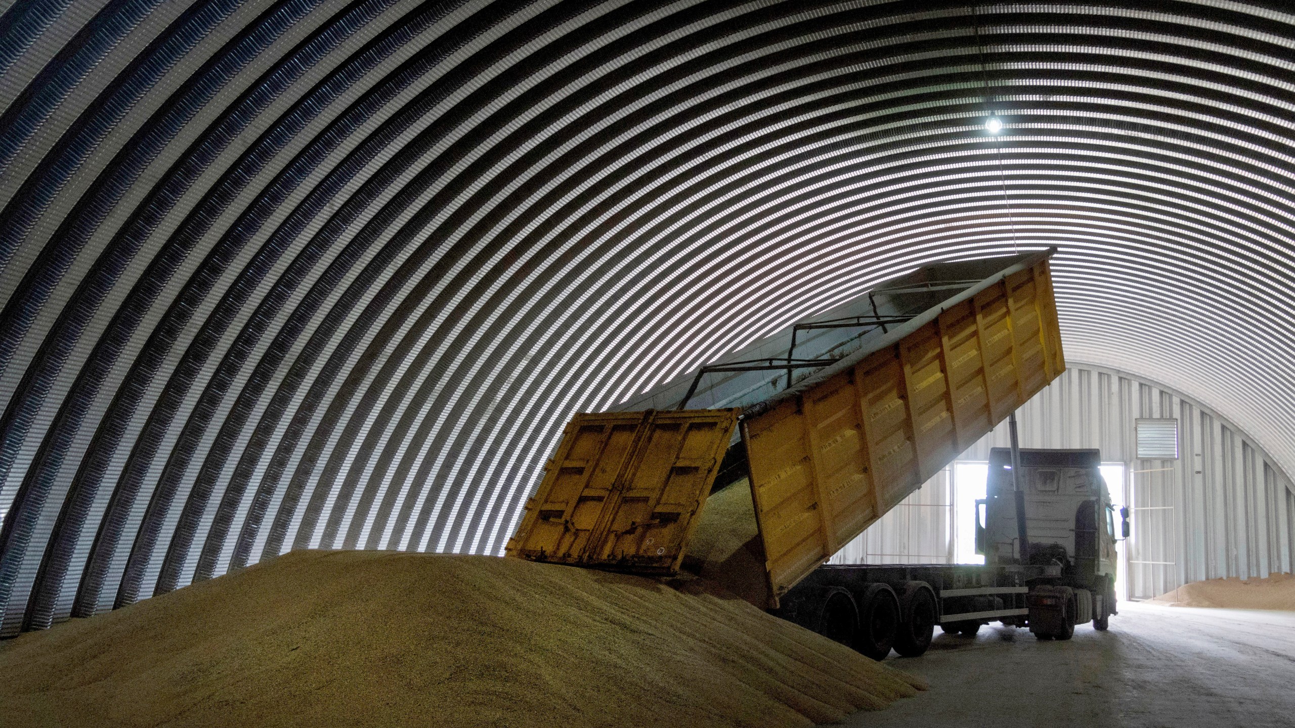 FILE - A dump track unloads grain in a granary in the village of Zghurivka, Ukraine, Aug. 9, 2022. Poland's government said Saturday that it has decided to temporarily prohibit grain and other food imports from Ukraine as it seeks to soothe the rising anger of Polish farmers, who say they are losing huge amounts of money to a glut of Ukrainian grain on the market. (AP Photo/Efrem Lukatsky, File)