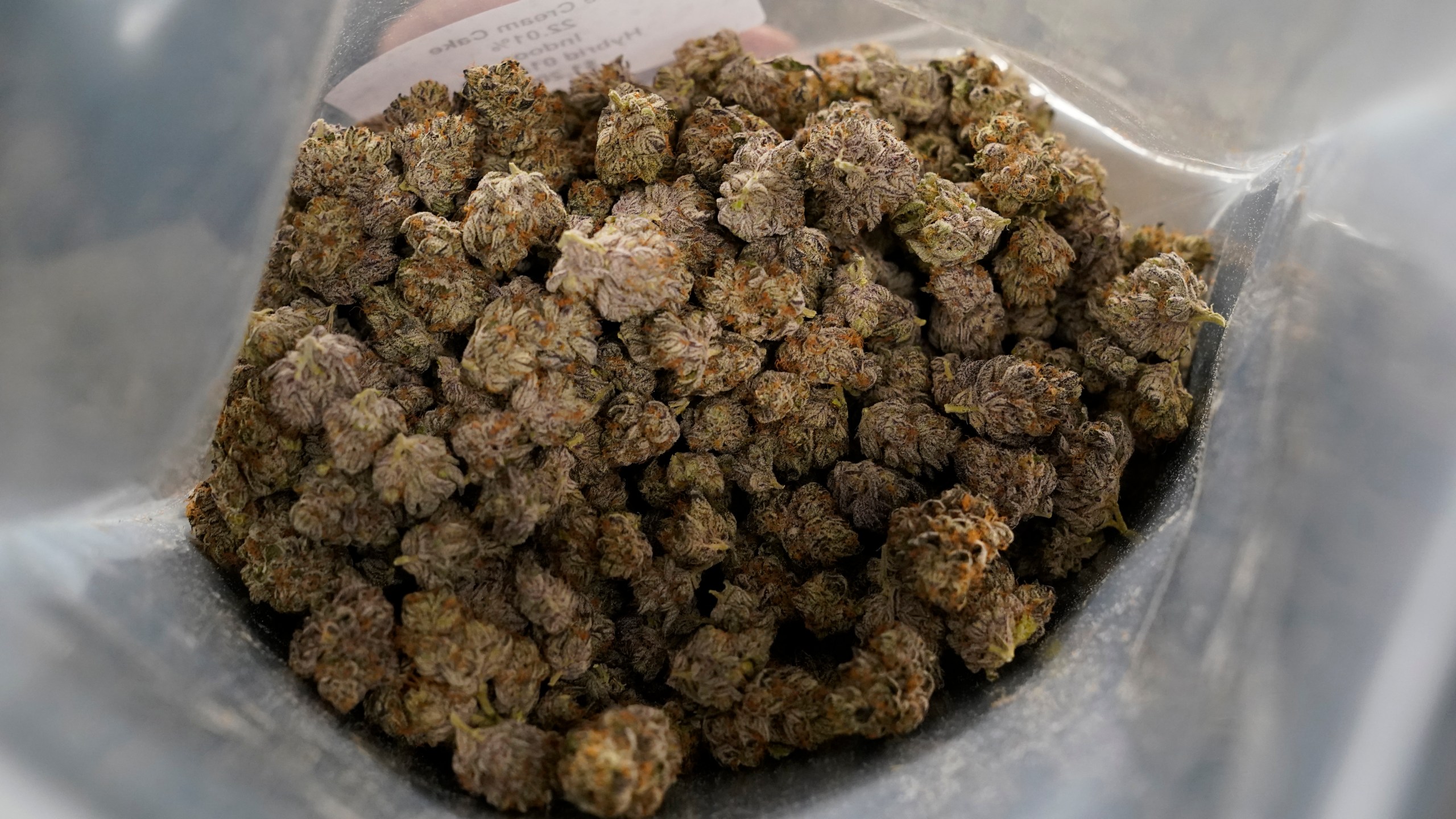 A bag filled with marijuana buds called Ice Cream Cake is displayed in the showroom of the Portland Cannabis Market in Portland, Ore., on March 31, 2023. Oregon, which has huge stockpiles of marijuana, should prepare for the U.S. government eventually legalizing the drug and position the state as a national leader in the industry, state auditors said Friday, April 28, 2023. (AP Photo/Eric Risberg)