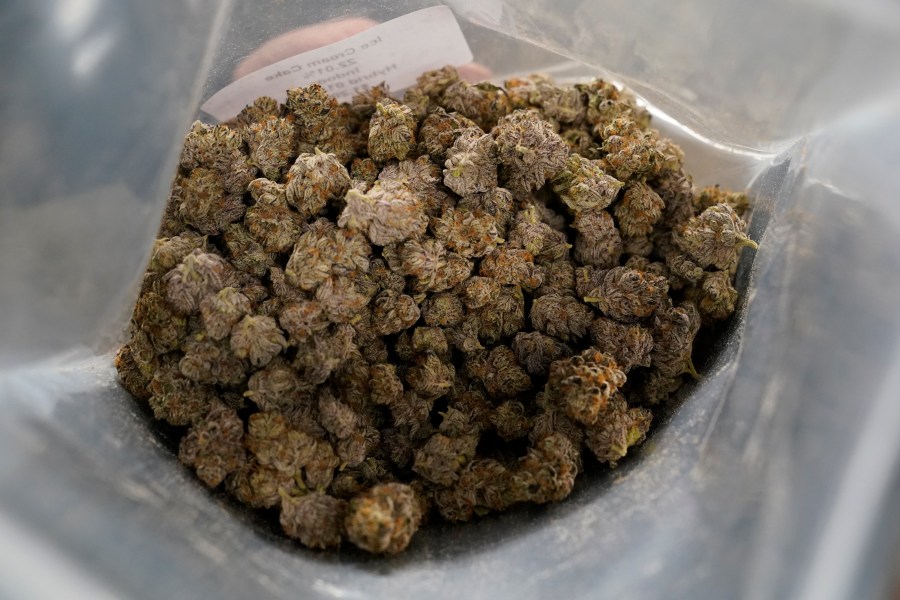 A bag filled with marijuana buds called Ice Cream Cake is displayed in the showroom of the Portland Cannabis Market in Portland, Ore., on March 31, 2023. Oregon, which has huge stockpiles of marijuana, should prepare for the U.S. government eventually legalizing the drug and position the state as a national leader in the industry, state auditors said Friday, April 28, 2023. (AP Photo/Eric Risberg)