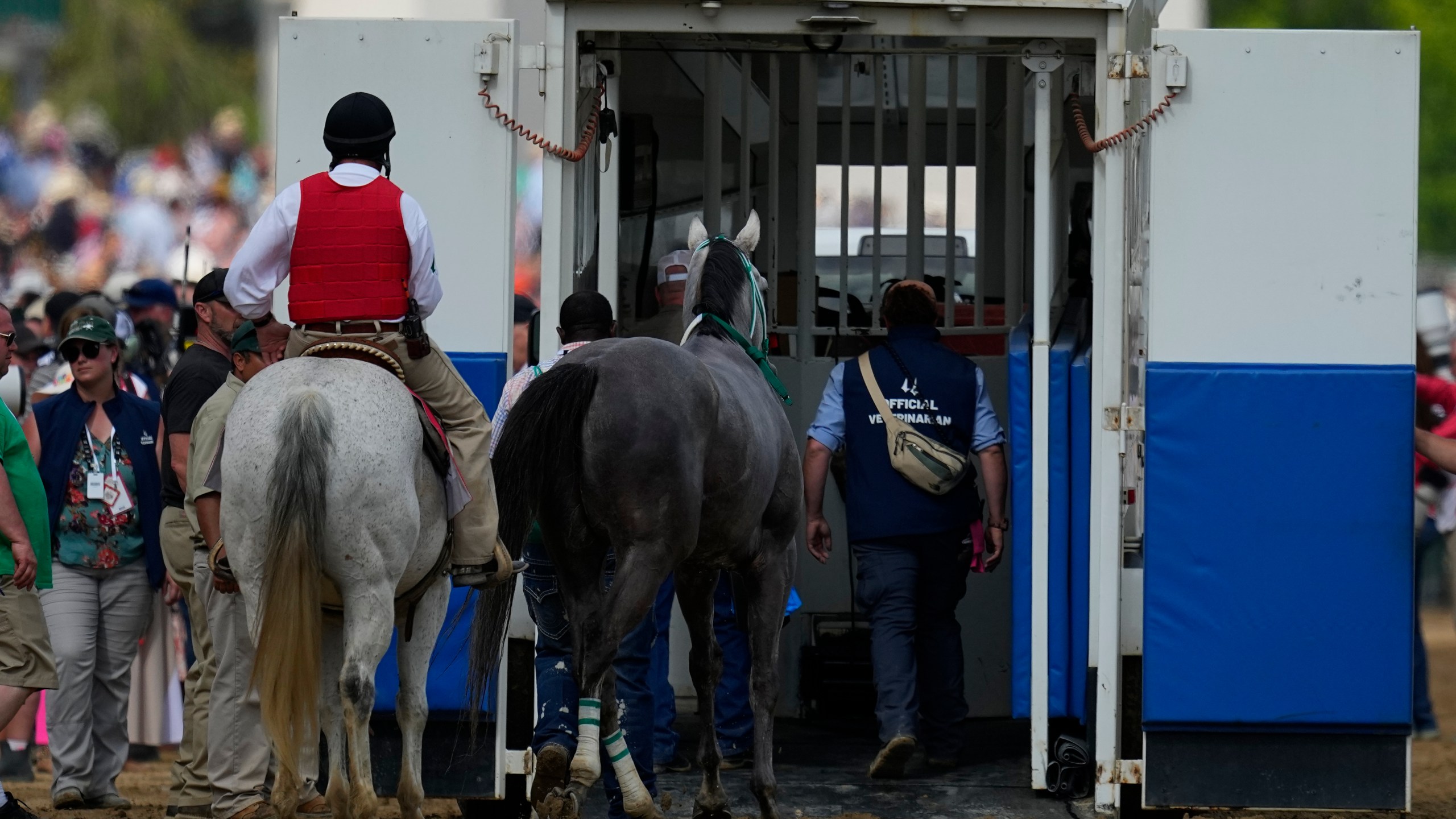 Here Mi Song is taken to the equine ambulance after the10th horse race at Churchill Downs Saturday, May 6, 2023, in Louisville, Ky. (AP Photo/Julio Cortez)