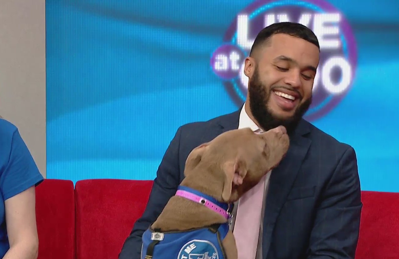 Memphis Animal Shelter director joins Live at 9's Pet of the Week