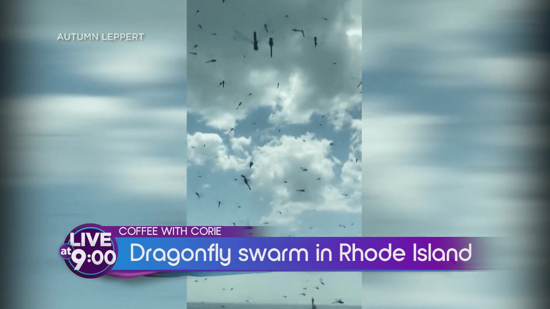 American Flag debacle, dragon fly swarm frenzy, strangers name newborns in today's Coffee with Corie