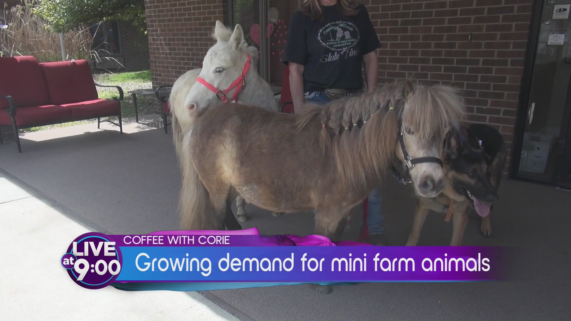 Mini Farm Animals, Lazy Days, and the Olympics Pass the Torch on Coffee with Corie